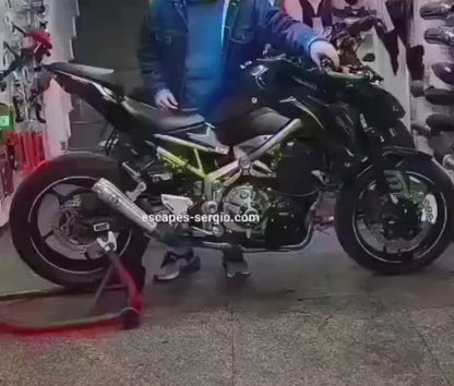 Línea Completa Artesanal Kawasaki Z900 FULL (2017-2026) Tipo Titanio