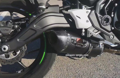 Línea Completa Artesanal Kawasaki Ninja 650/ Z650/ Versys 650 (2023-2026) Acero Inoxidable